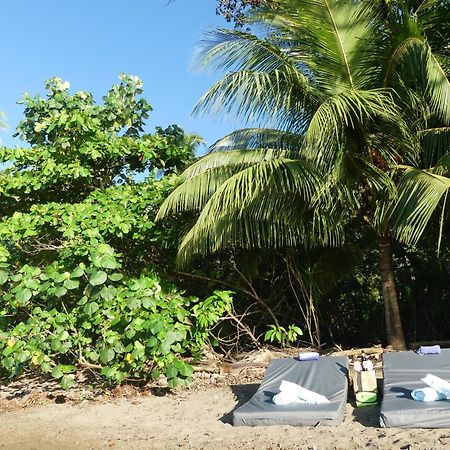 The Tranquilo Lodge, Adult Only, All Meals Included Drake Bay Exterior photo